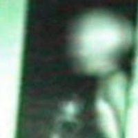 Caught on Night Camera Mode - Alien Humanoid